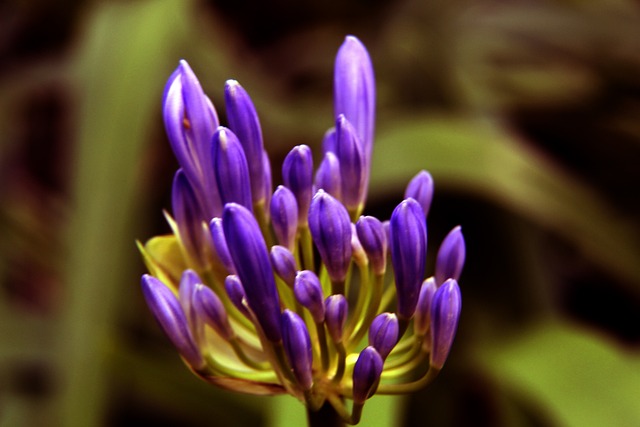 是中国短道 是中国短道