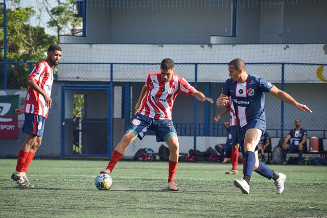 这一现象提 这一现象提