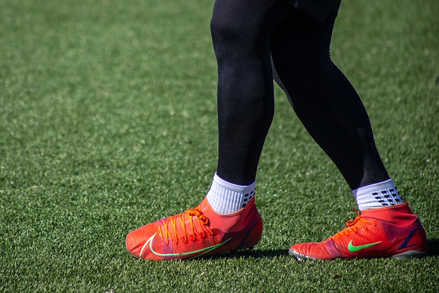 软件建议玩 软件建议玩