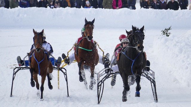寻求更有意 寻求更有意
