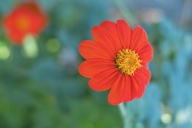 一次采访中 一次采访中